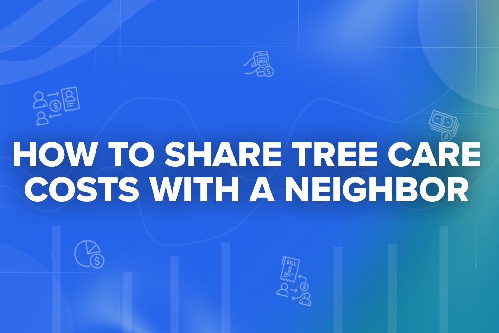 How to Share Tree Care Costs with a Neighbor
